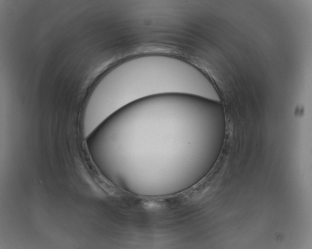 X0000093260352200709261623