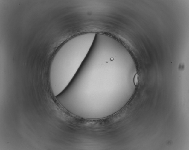 X0000093260353200709261623