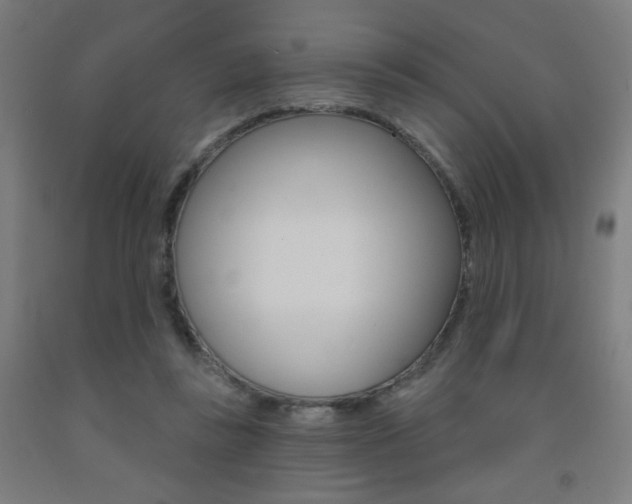 X0000093260355200709261623