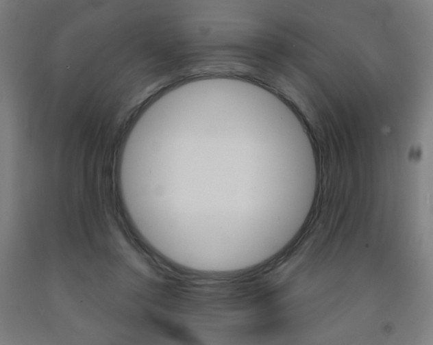X0000093260356200709261623
