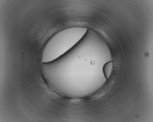 X0000093260357200709261623