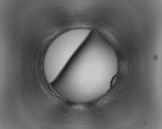 X0000093260358200709261623