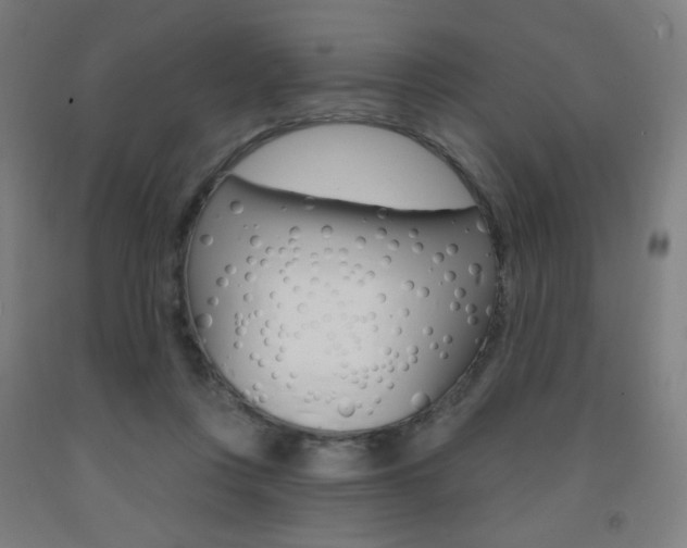 X0000093260359200709261623