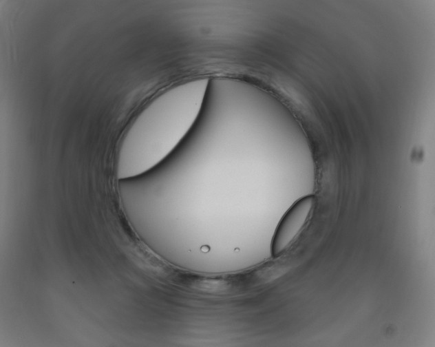 X0000093260361200709261623