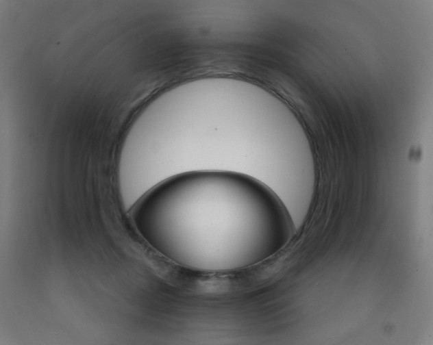 X0000093260362200709261623