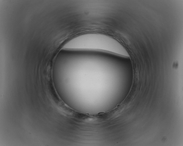 X0000093260364200709261623