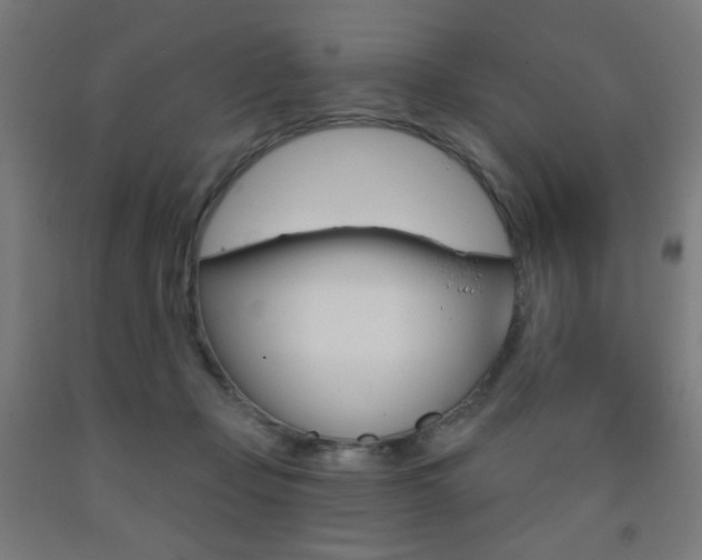X0000093260365200709261623