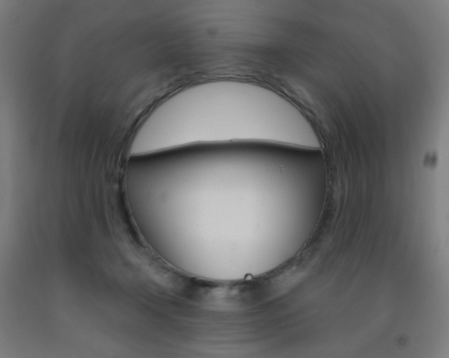 X0000093260366200709261623