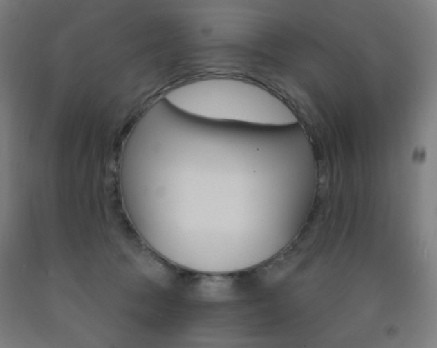 X0000093260369200709261623