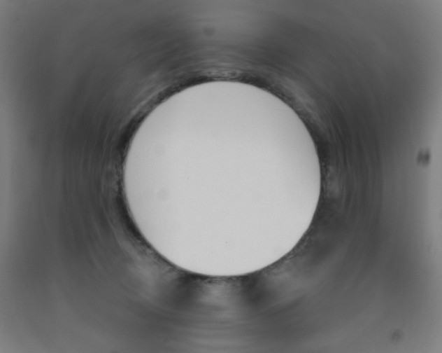 X0000093260370200709261623
