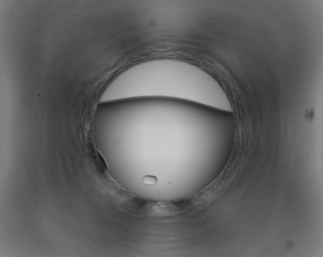 X0000093260372200709261623