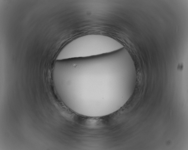 X0000093260375200709261623