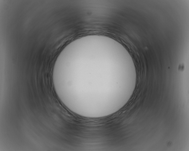 X0000093260376200709261623