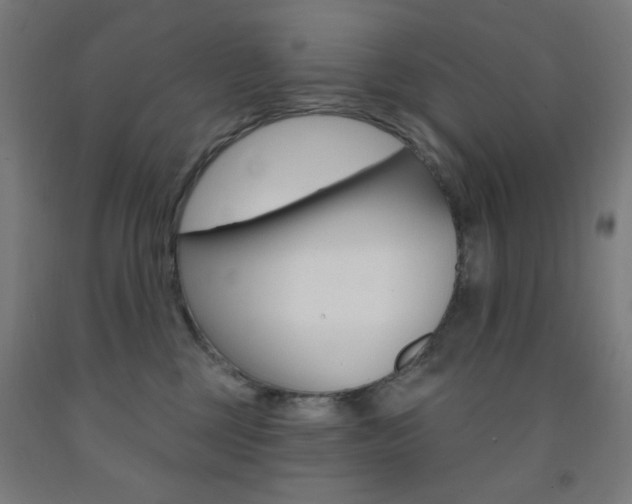 X0000093260377200709261623