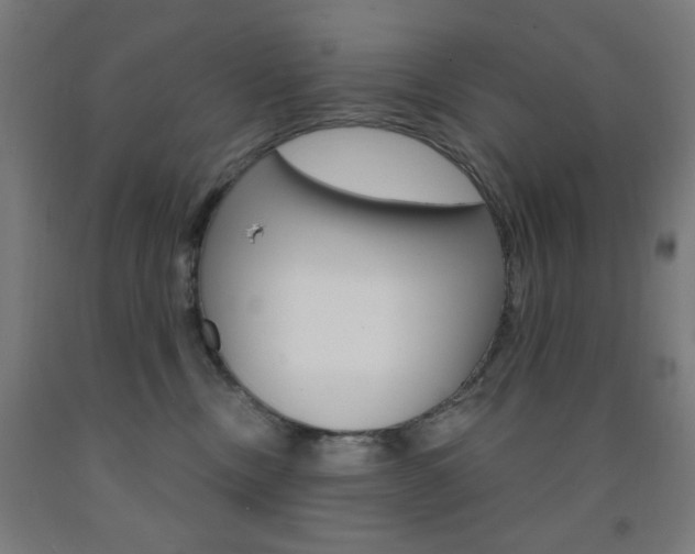 X0000093260378200709261623