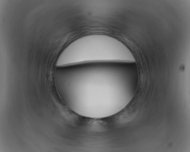X0000093260379200709261623