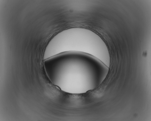 X0000093260380200709261623