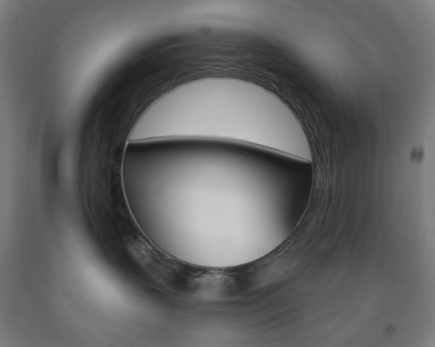 X0000093260383200709261623