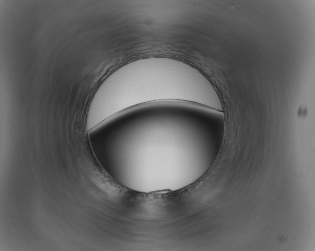 X0000093260384200709261623