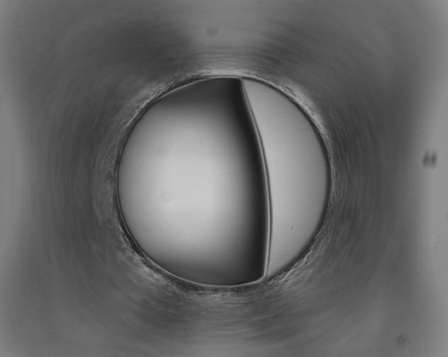 X0000093260385200709261622