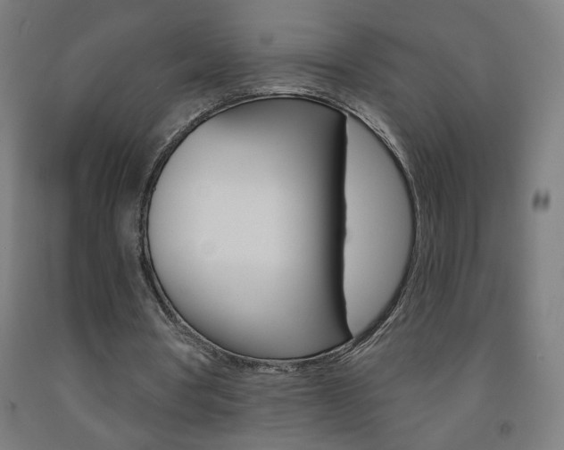 X0000093260386200709261622