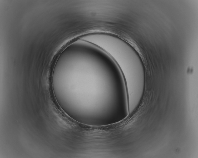 X0000093260387200709261622