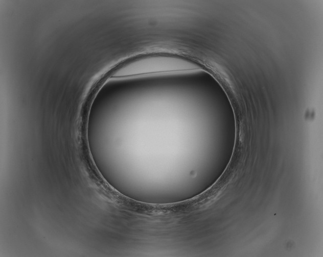 X0000093260388200709261622