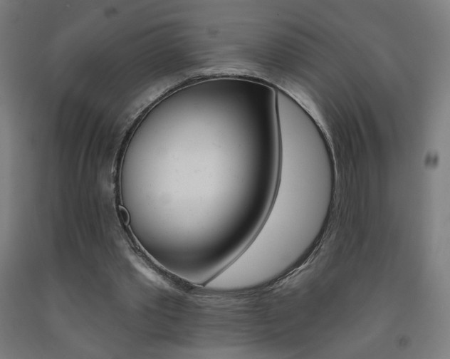 X0000093260389200709261622