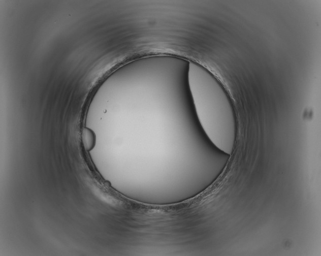 X0000093260390200709261622