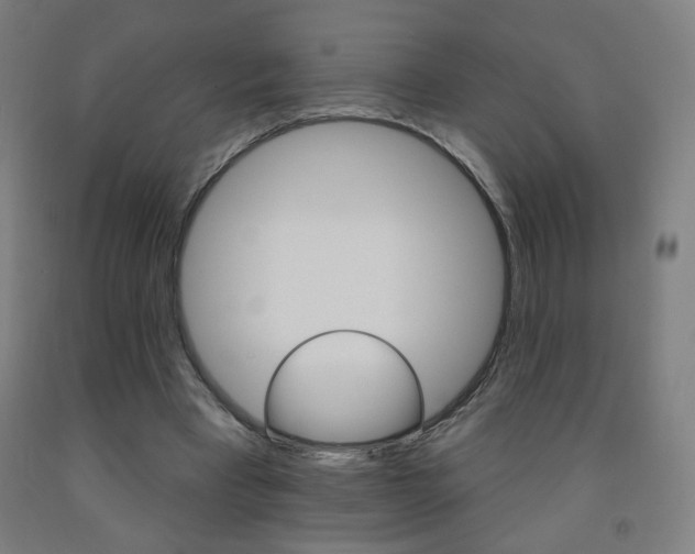 X0000093260393200709261622