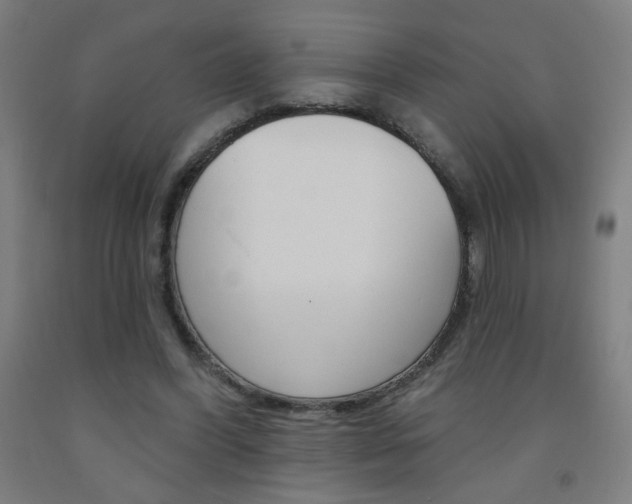 X0000093260396200709261622