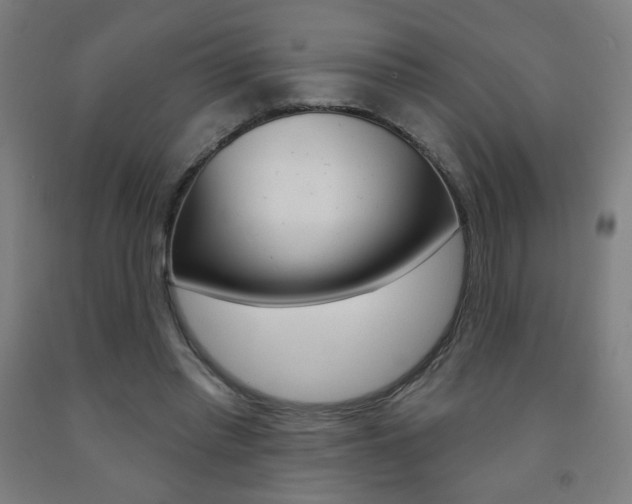 X0000093260397200709261622