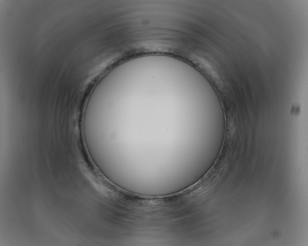 X0000093260398200709261622