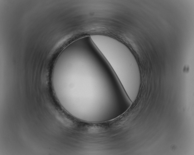 X0000093260400200709261622