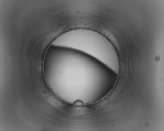 X0000093260401200709261622