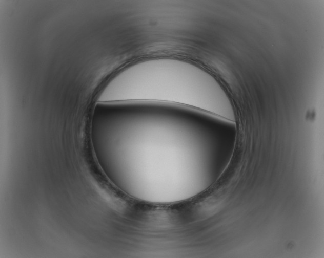 X0000093260404200709261622