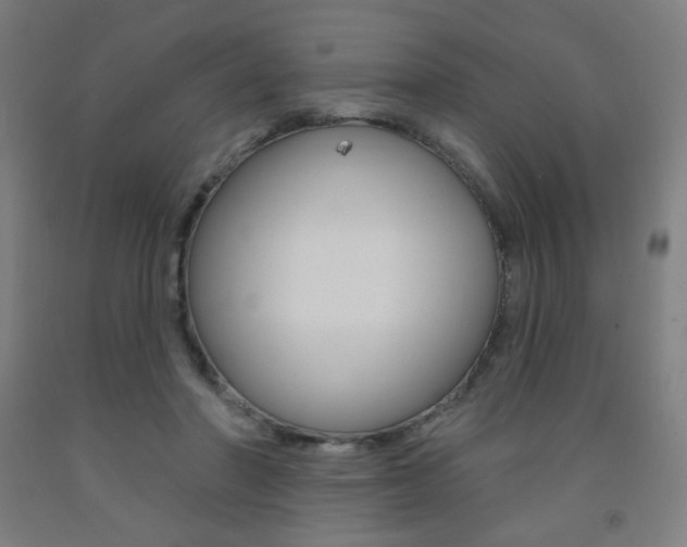 X0000093260406200709261622