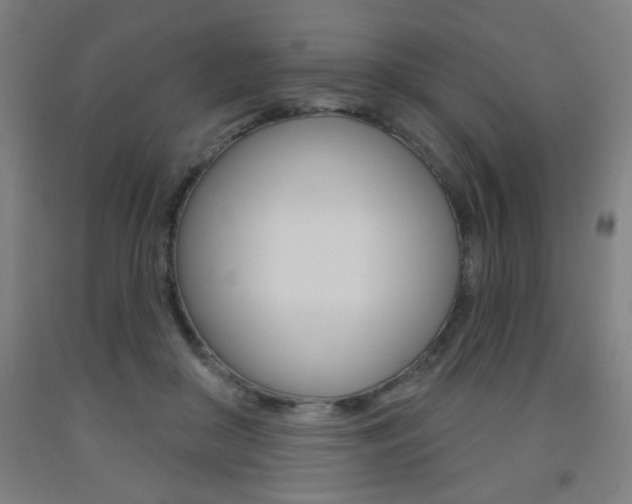 X0000093260410200709261622