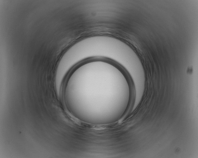 X0000093260411200709261622