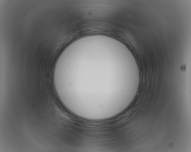 X0000093260412200709261622