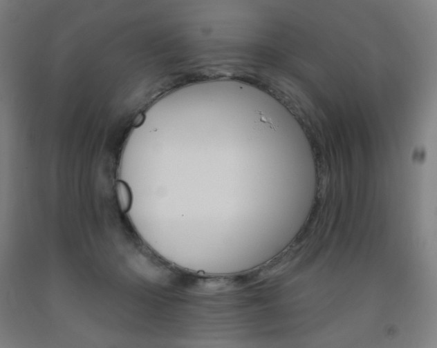 X0000093260414200709261622