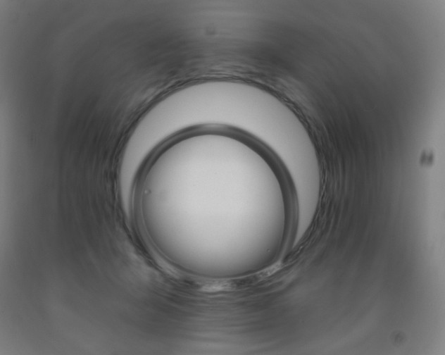 X0000093260415200709261622
