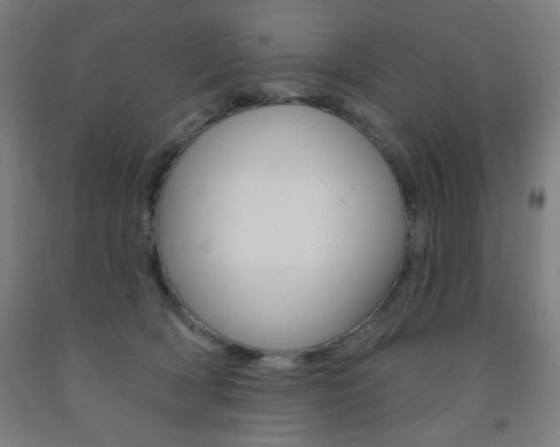 X0000093260418200709261622