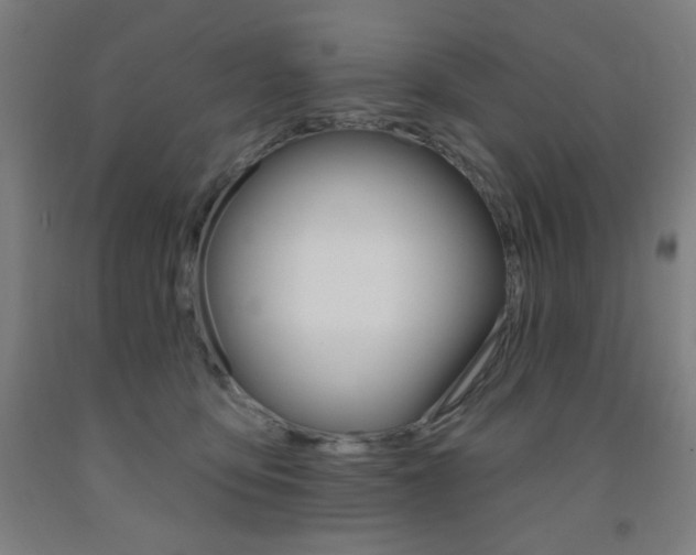X0000093260419200709261622