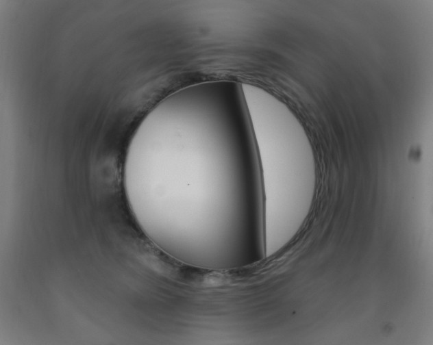 X0000093260420200709261622