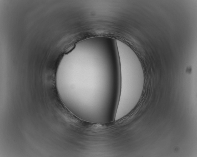 X0000093260421200709261622
