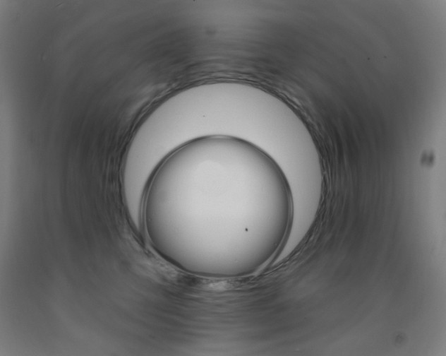 X0000093260423200709261622