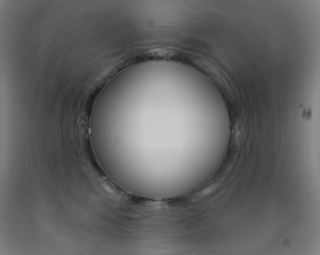 X0000093260424200709261622