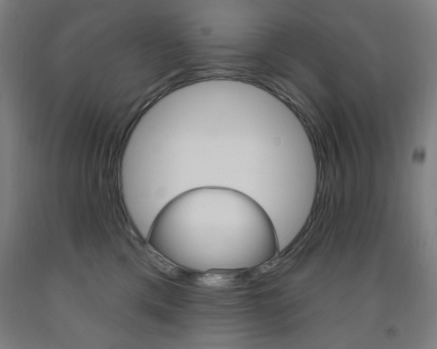 X0000093260425200709261622