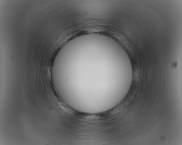 X0000093260426200709261622
